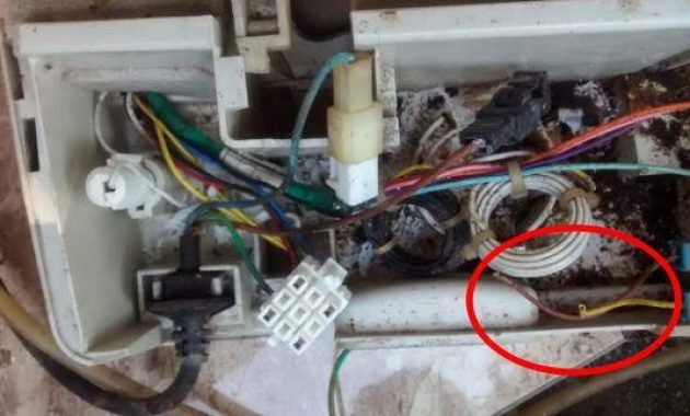 Kabel mesin cuci digigit tikus